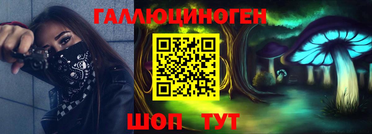 Псилоцибиновые грибы Psilocybine cubensis Севастополь